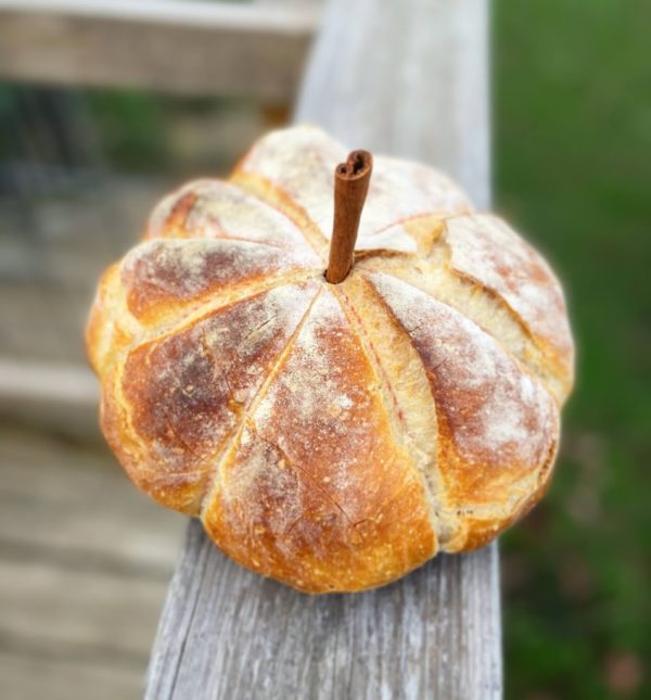 Sourdough Starter - Image 2