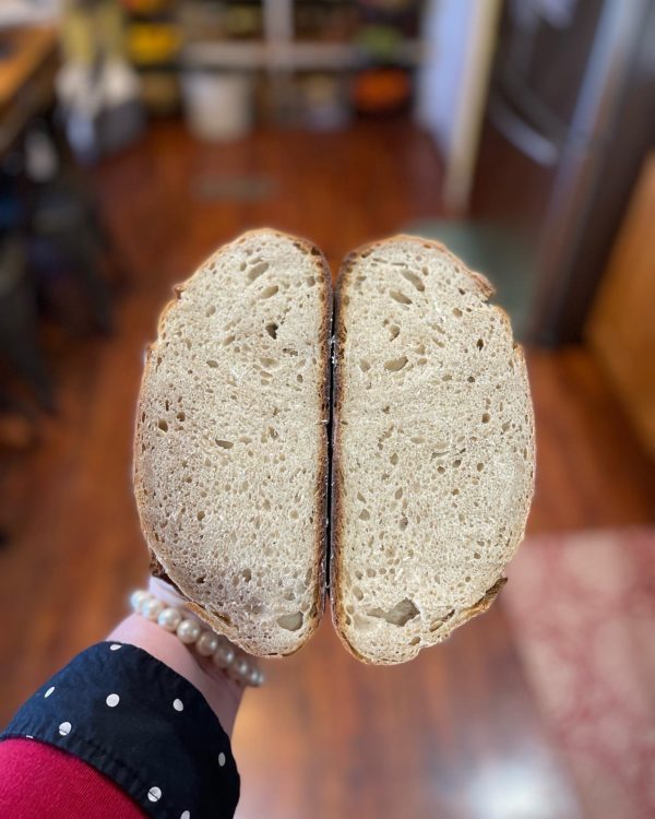 Sourdough Starter - Image 5
