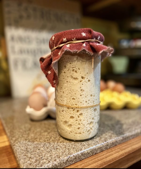Sourdough Starter - Image 6