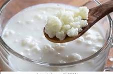 Milk Kefir